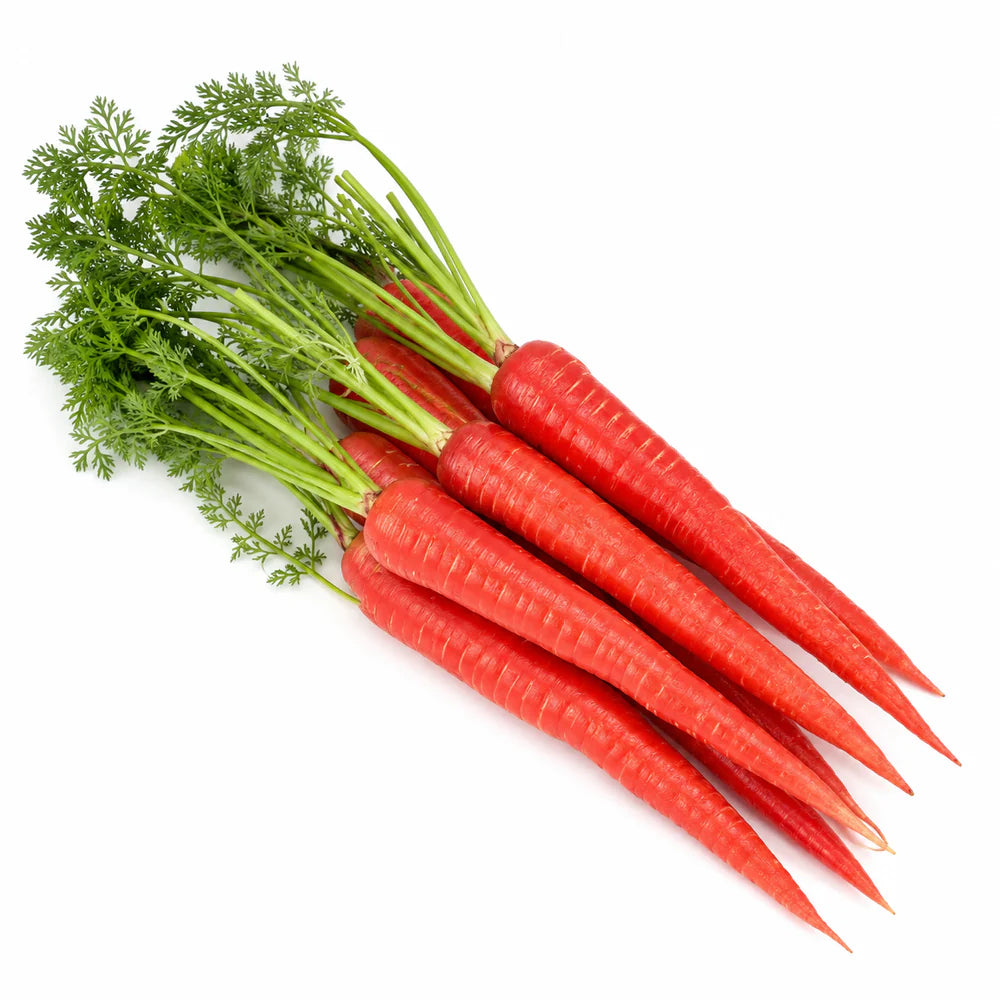 Carrots — گاجر