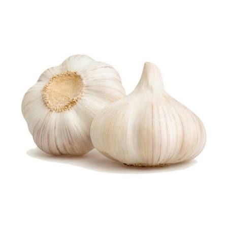 Garlic — لہسن