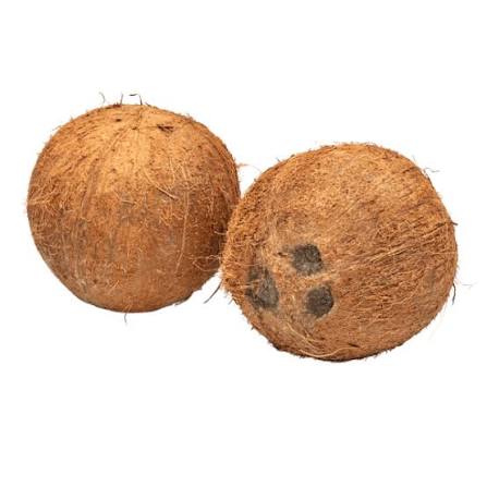 coconut ناریل