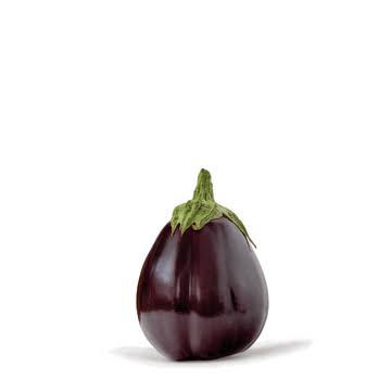 Eggplant / Brinjal — بینگن