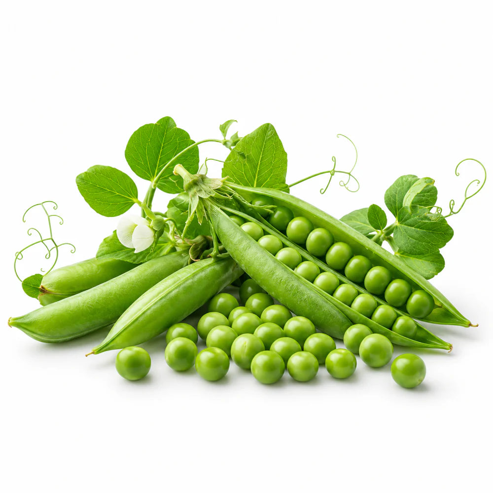 Peas — مٹر
