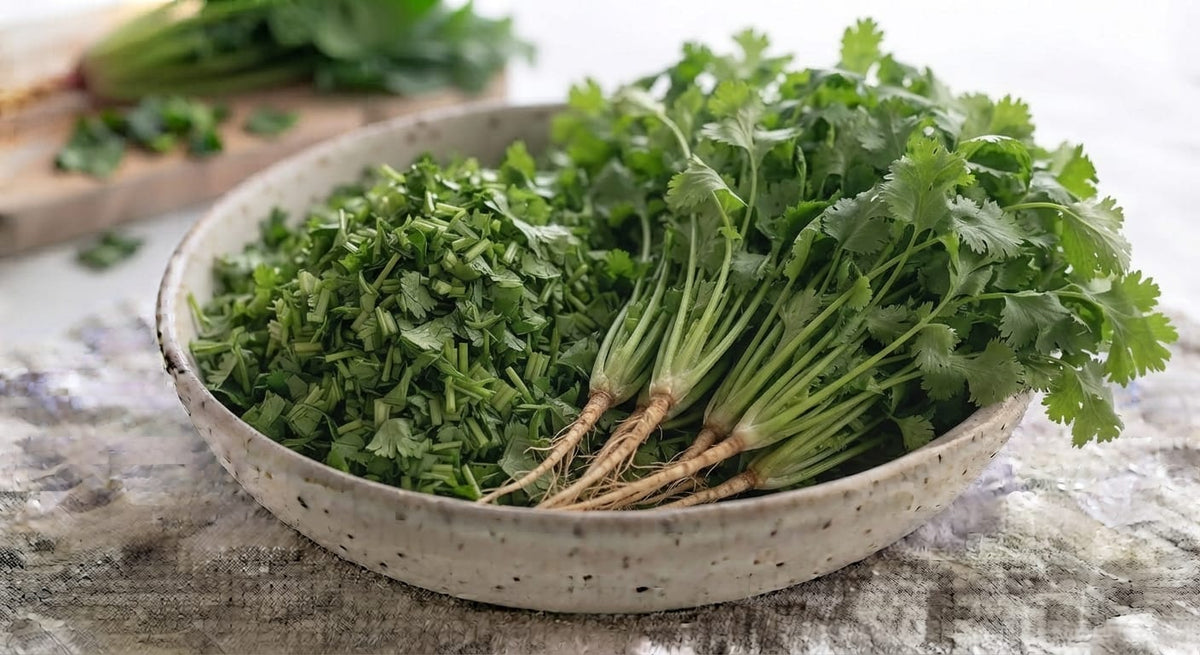 Chopped Coriander  کٹا ہوا سبز دھنیا