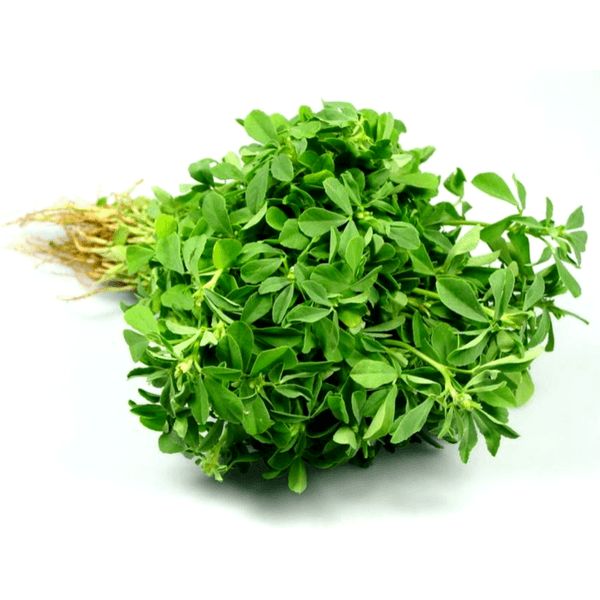 Fenugreek — میتھی