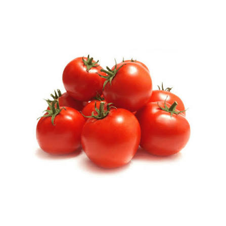 Tomatoes — ٹماٹر