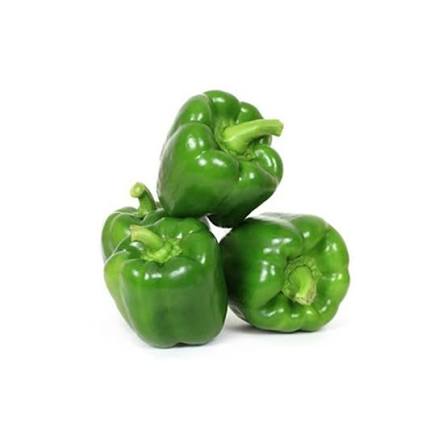 Capsicum / Bell Pepper _ شملہ مرچ