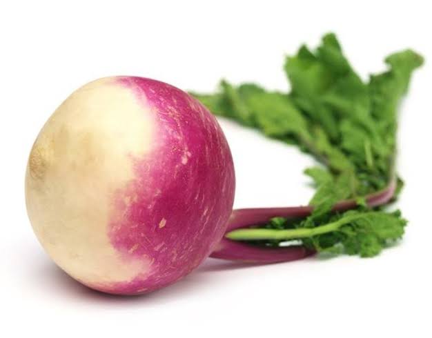 Turnip _شلجم