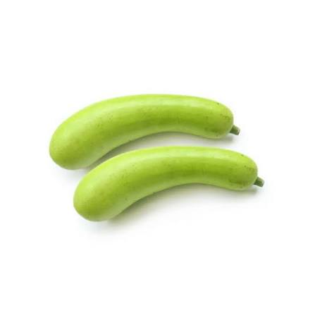 Bottle Gourd — لوکی