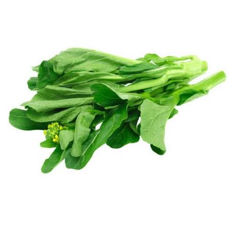 saag  ساگ