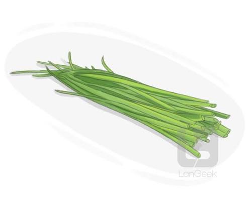 Green onion / spring onion