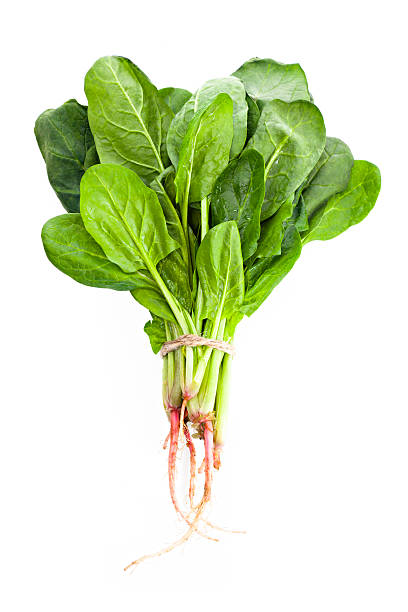 Spinach — پالک